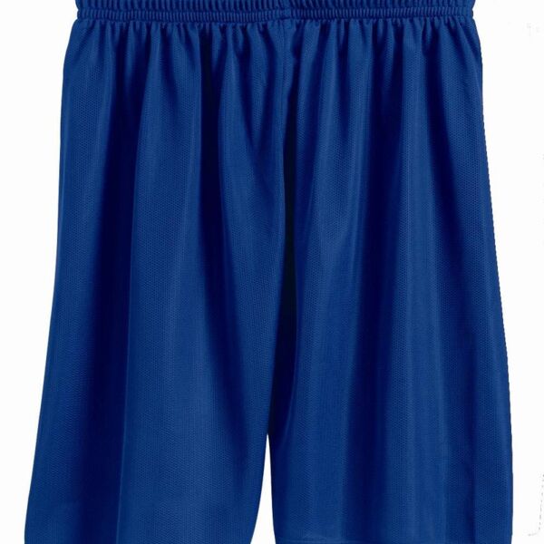 Mini Mesh 7'' Inseam Shorts Thumbnail